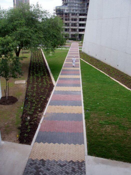 SnakePath (Mexican Milk Snake), 2007