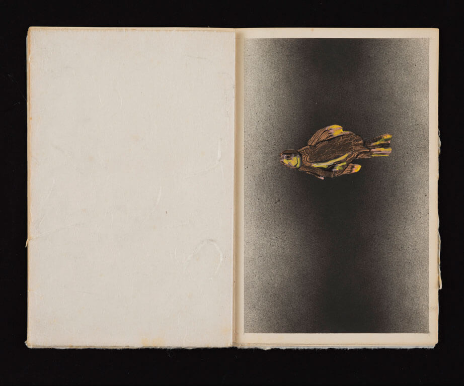A Trout ’76, A portfolio of Seven Trout, 1977