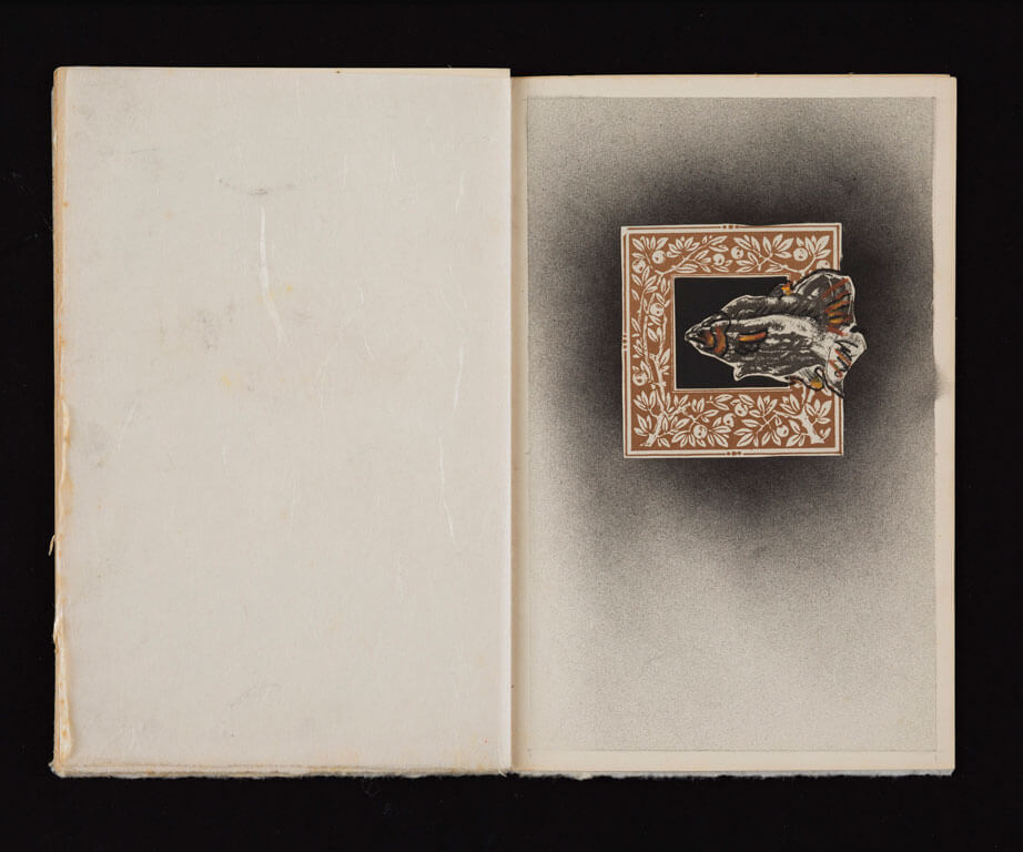 A Trout ’76, A portfolio of Seven Trout, 1977