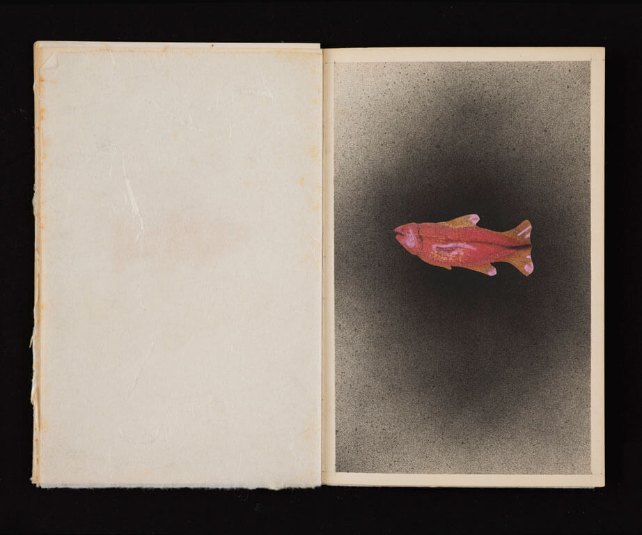 A Trout ’76, A portfolio of Seven Trout, 1977