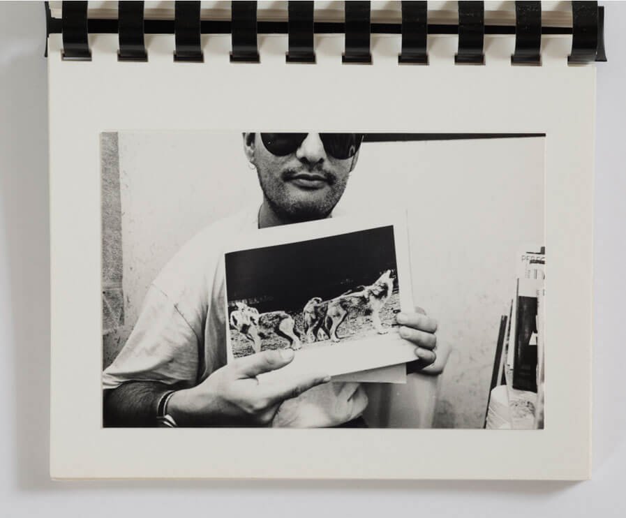 In The Library, Pg12, 1988